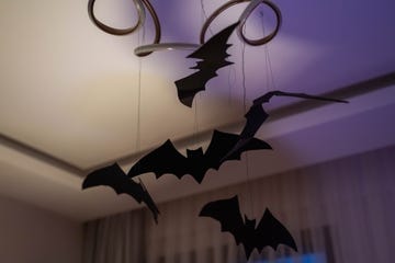 murciélagos colgantes para decorar en halloween