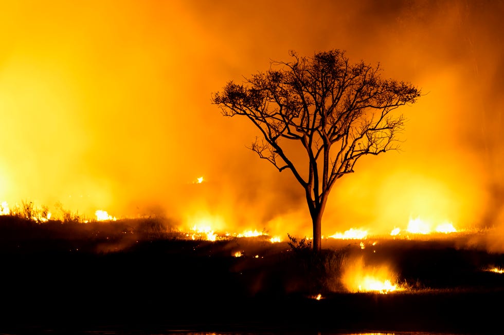 global warming from the sun and burning, heatwave hot sun, climate change