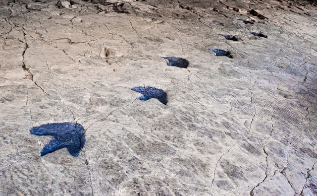 senda de los dinosaurios en enciso