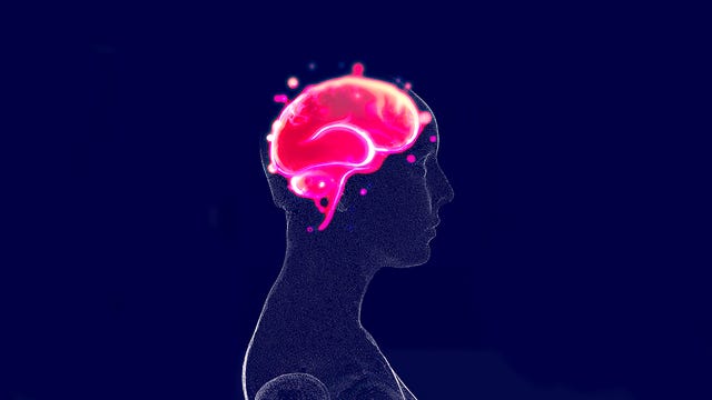 illustration of a human silhouette with a bright pink brain above it