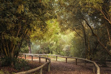 sendero del guadiamar