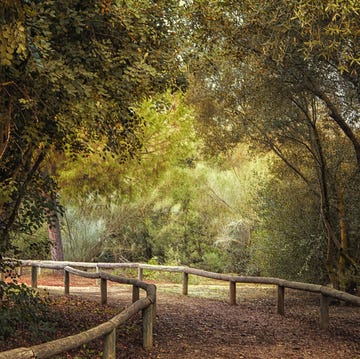 Sendero del Guadiamar sendero del guadiamar