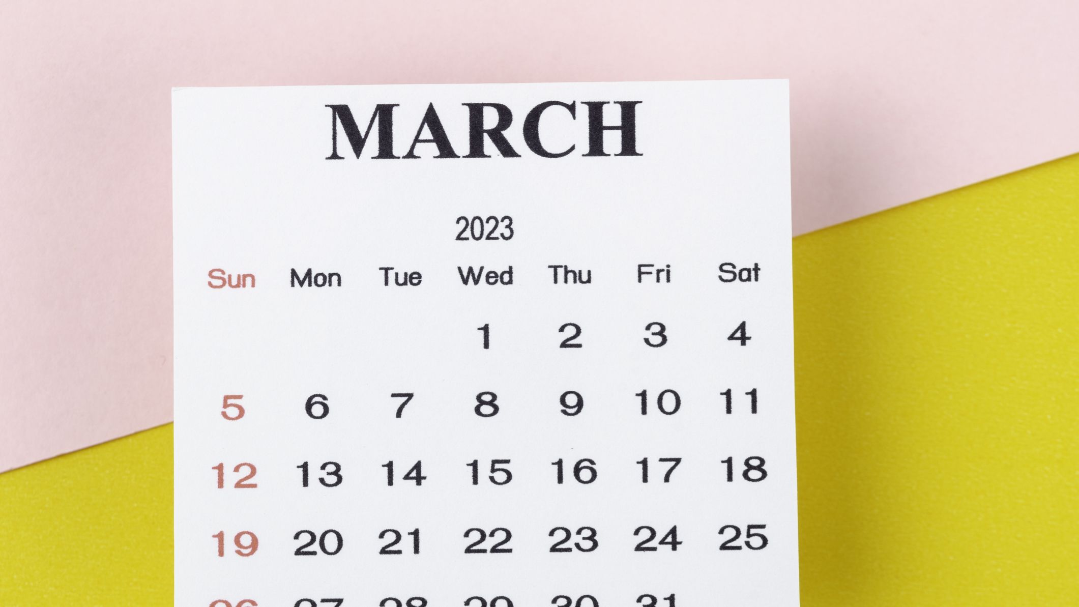 Spring Begins - March 19, 2024 - National Day Calendar