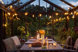 conservatory plants