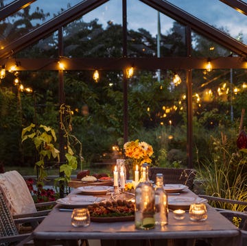 Table set in greenhouse conservatory plants