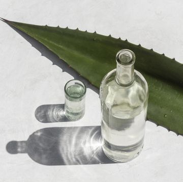 a top view shot of a mezcal alcoholic bottle with a shadow on a white surface with a big agave leaf