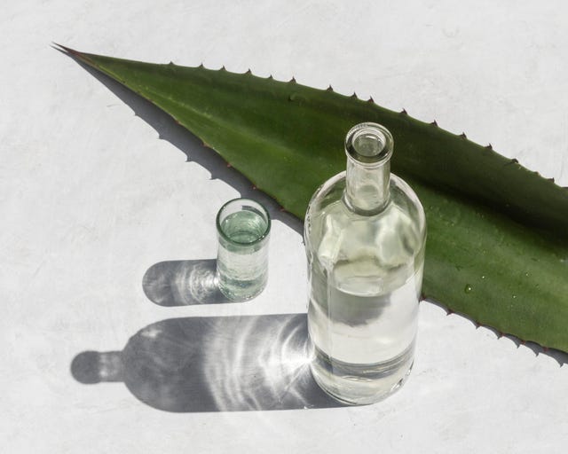 a top view shot of a mezcal alcoholic bottle with a shadow on a white surface with a big agave leaf