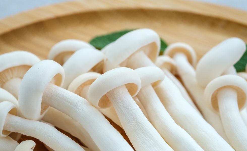 heap of shimeji white beech mushrooms on wooden tray