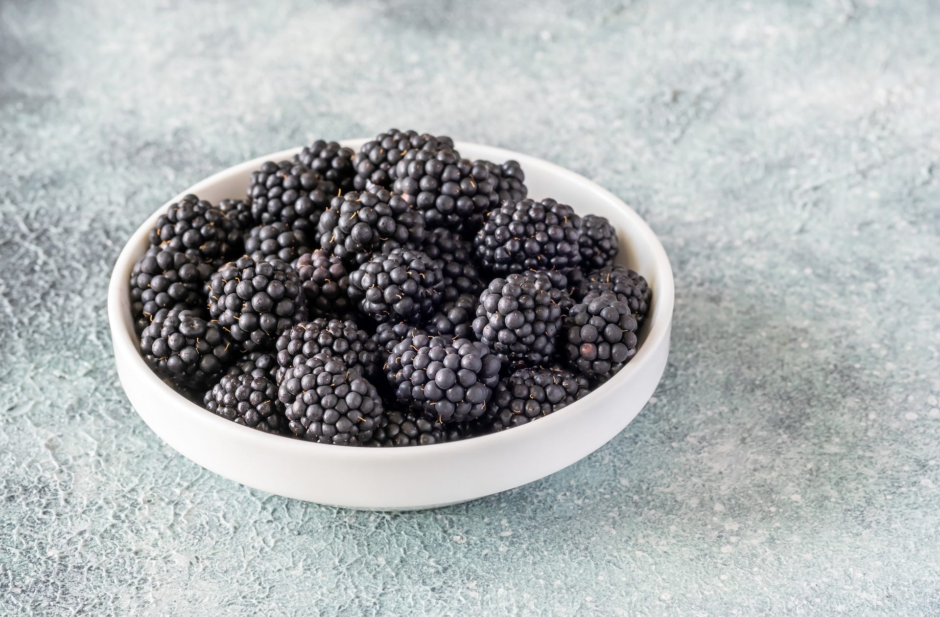 bowl of fresh blackberry on blue gray background