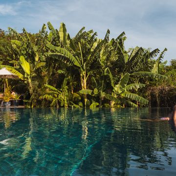 horizontal panoramic view of woman resting at paradisiacal infinite pool resort with palm trees in lombok island people lifestyles in indonesia