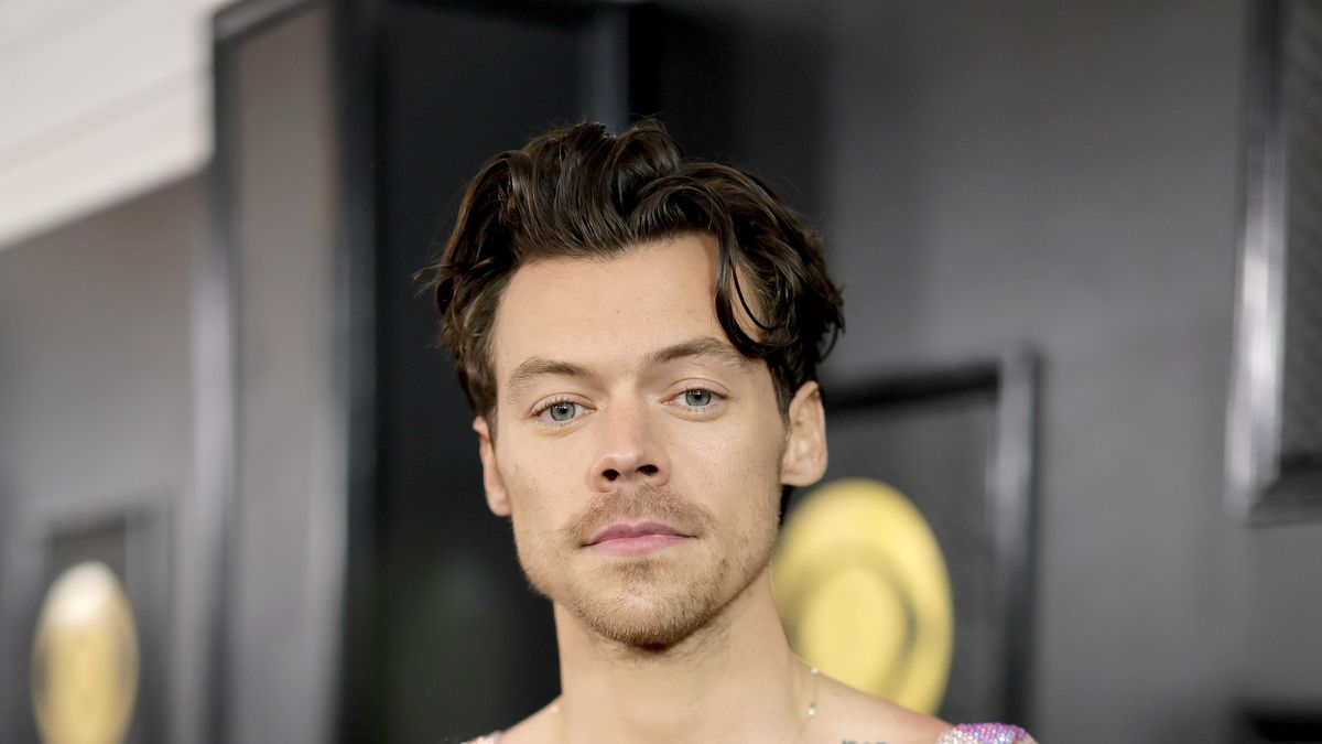 Why Harry Styles Wasn't Cast as Prince Eric in 