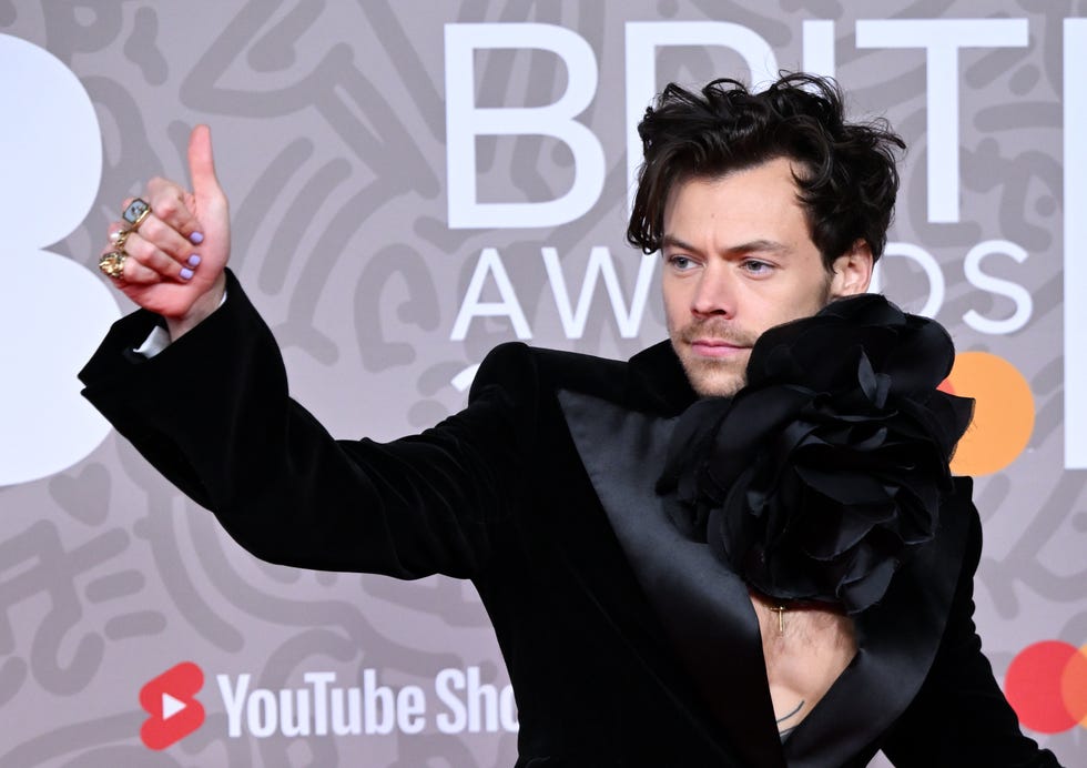 Why Does Everyone Have a Crush on Harry Styles?