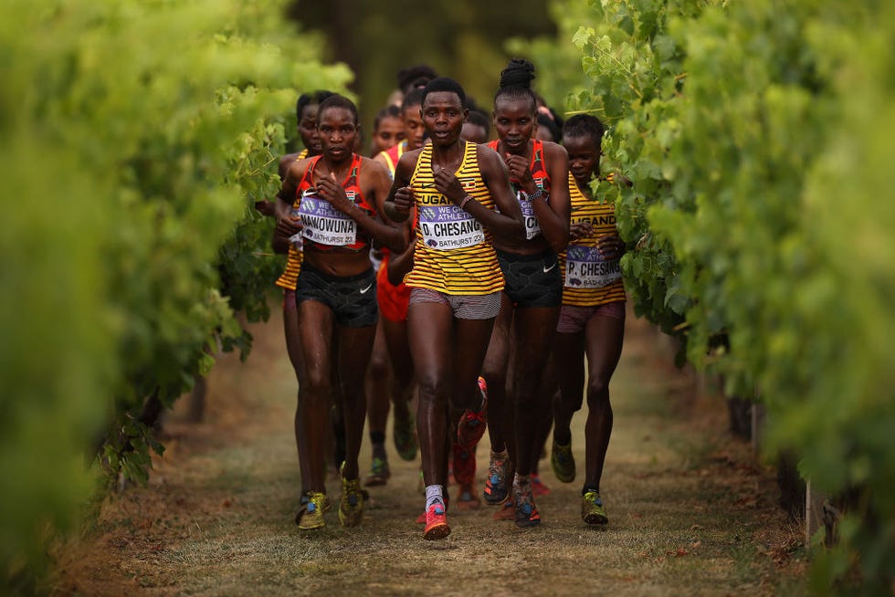 bathurst, australia february 18 athletes compete competes in the womens senior race during the 2023 world cross country championships at mount panorama on february 18, 2023 in bathurst, australia photo by cameron spencergetty images for world athletics