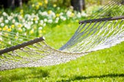 hammock hanging in sunny yard near flower garden