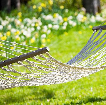 hammock hanging in sunny yard near flower garden