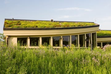 whataregreenroofsandwhatdotheydo
