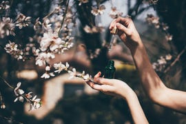 hand with pipette at spring flowers on background