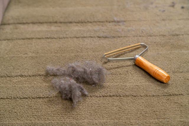 top view of dust ball and carpet scraper tool. rug cleaning device and pile of dirt close up.