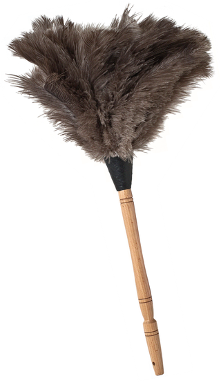 isolated feather duster with wooden handle
