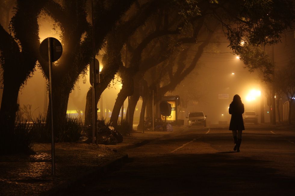 silhouette of woman walking on road with treelined