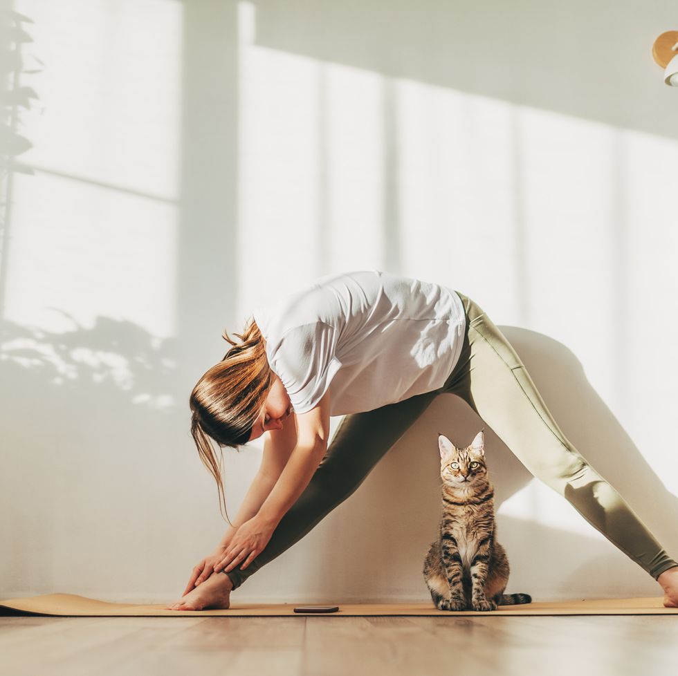 young attractive smiling woman practicing yoga, stretching in scorpion exercise, variation of vrischikasana pose, working out, wearing sportswear, grey pants, bra, indoor full length, home interior