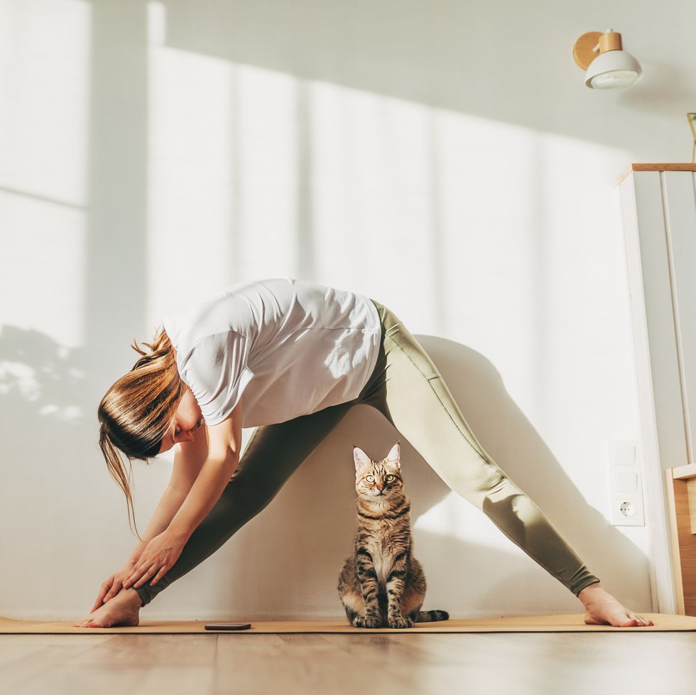 young attractive smiling woman practicing yoga, stretching in scorpion exercise, variation of vrischikasana pose, working out, wearing sportswear, grey pants, bra, indoor full length, home interior