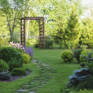 beautiful summer garden view with curvy stone pathway and wooden archway natural woodland cottage garden with hostas, conifers and shrubs
