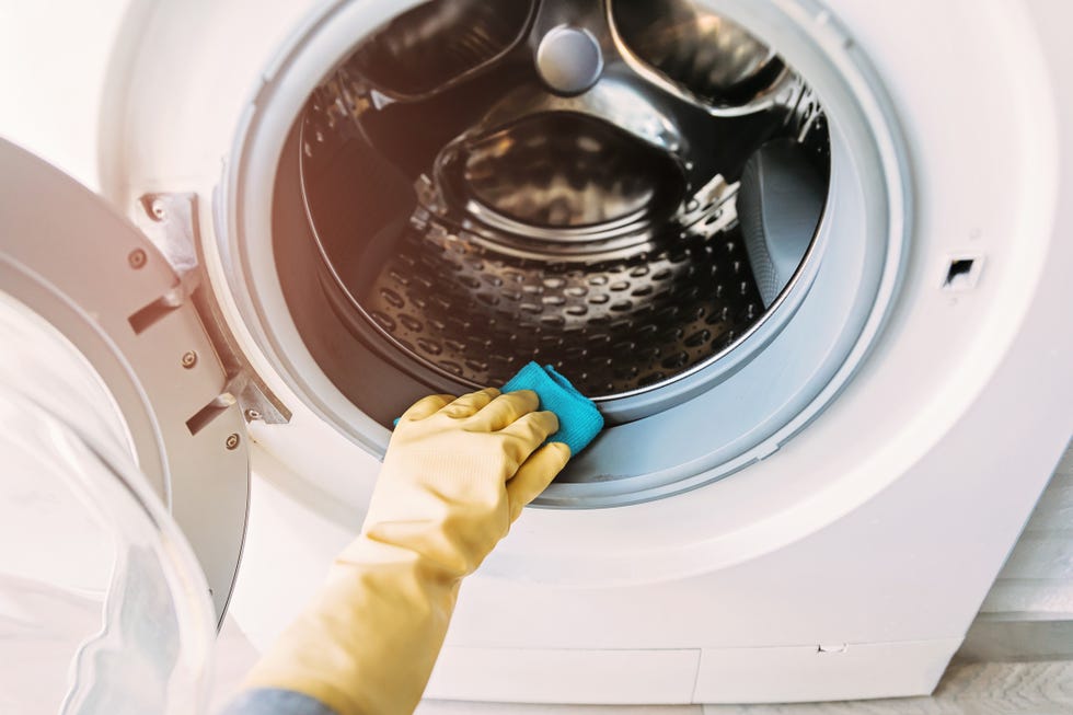 close up of hand cleaning dirty washing machine sealing rubber