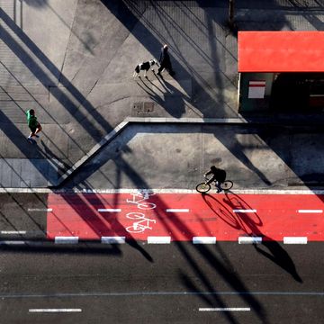 people walking with dog on street and bike rider with shadow on street