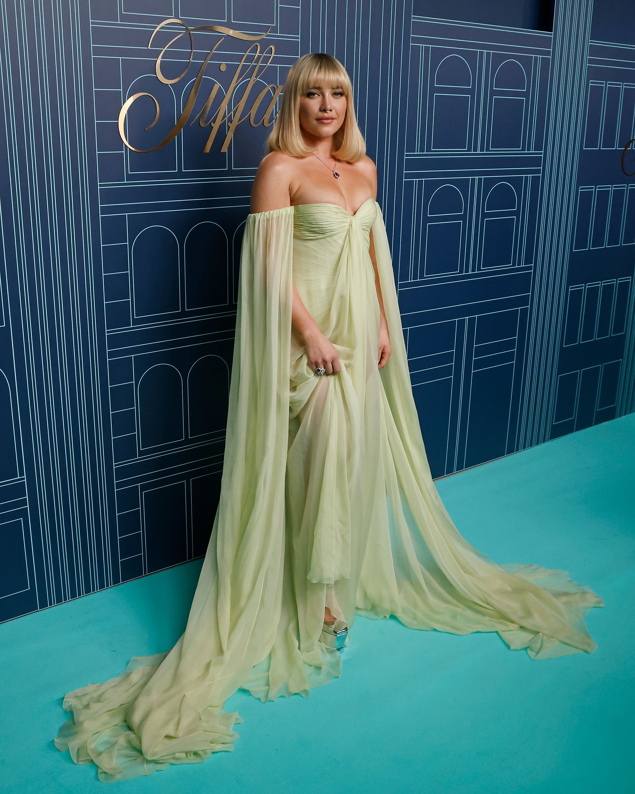150 Tiffany on the Red Carpet ideas  tiffany & co., celebrities, red carpet