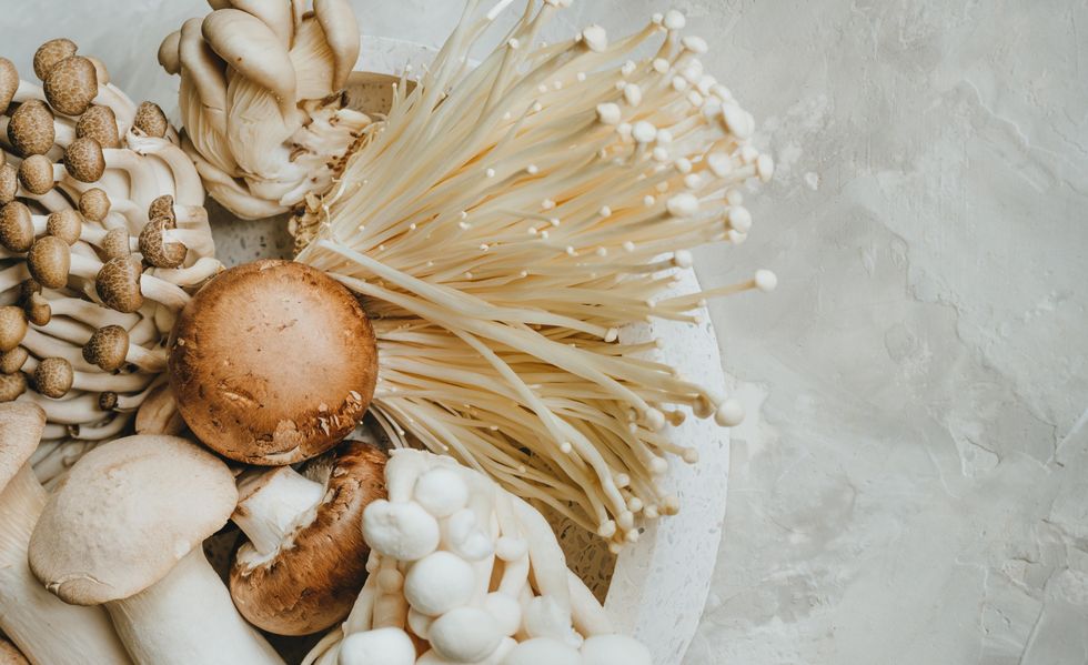 various fresh edible mushrooms king oyster, shimeji, eringi, enoki, oyster, champignon on gray concrete background with copy space top view, flat lay