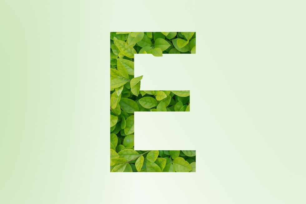 an illustration of the letter e made of leaves on a green background