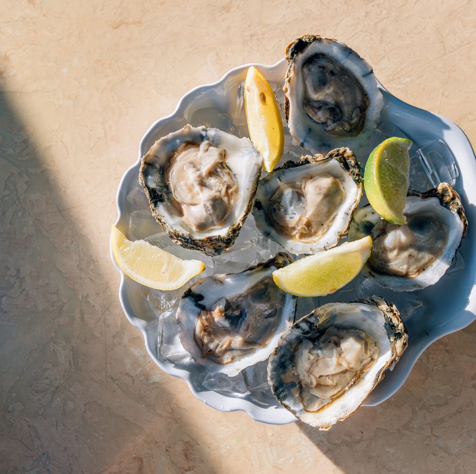 oysters with lime on ice on a plate, directly above view
