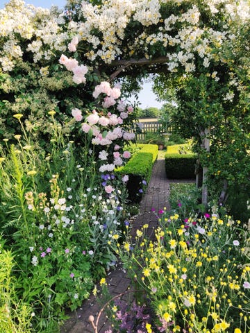 a rose arch in a cottage garden