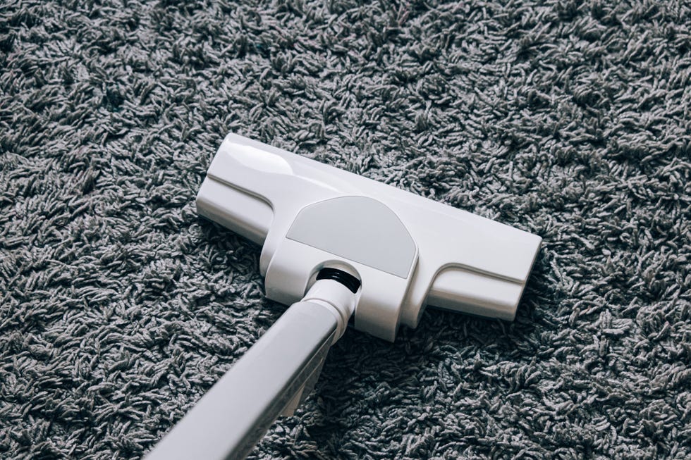 close up of vacuum cleaner brush being used while vacuuming a thick pile of carpet cleaning in the house or office, clean floor