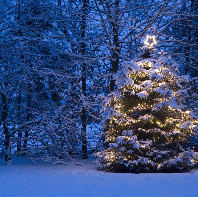 Will a white Christmas be possible in the future? Climate experts weigh in