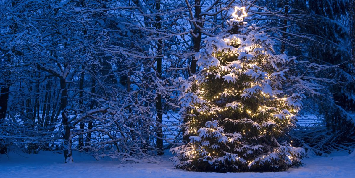 Will a white Christmas be possible in the future? Climate experts weigh in