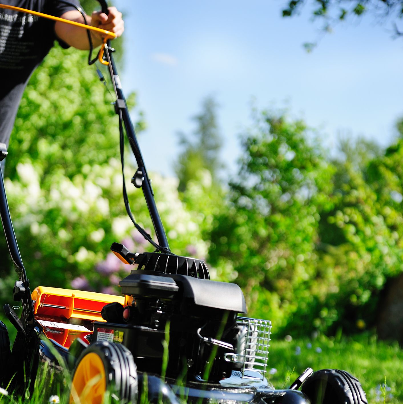 5 Lawn Mowing Tips To Help Garden Wildlife Thrive