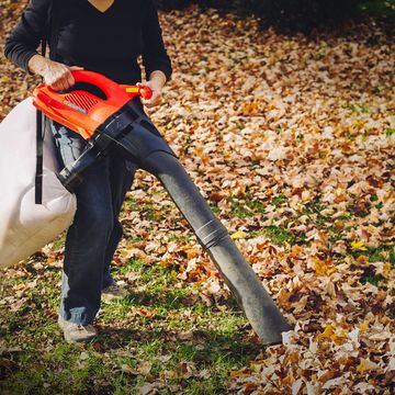 a mature woman wearing protective eye and ear equipment is using an electric vacuum leaf mulcher to clean up fallen autumn leaves in her suburban back yard