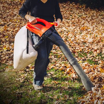 a mature woman wearing protective eye and ear equipment is using an electric vacuum leaf mulcher to clean up fallen autumn leaves in her suburban back yard