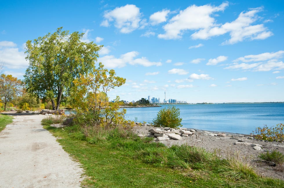 Natural landscape, Sky, Shore, Bank, Natural environment, Daytime, Tree, Property, Land lot, Sea, 