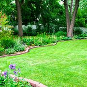 a lush green lawn and beautiful flower beds in a large backyard
