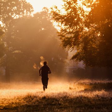 an athlete enjoys the serenity of an early morning workout in richmond park, london