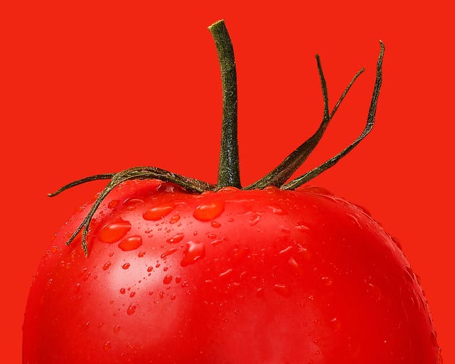 fresh red tomato with water droplets and green stem