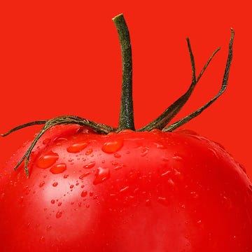 Campari Tomato Closeup fresh red tomato with water droplets and green stem