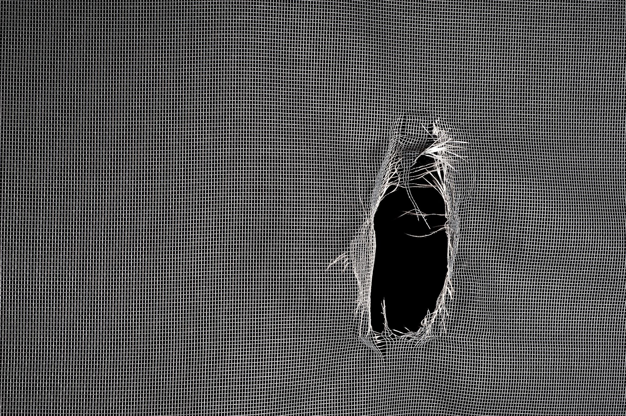 A torn screen door. 