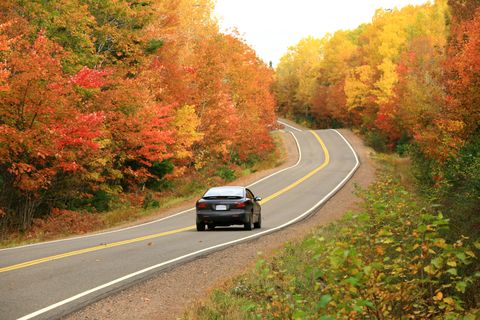 leaf, road, tree, autumn, vehicle, yellow, red, car, natural landscape, orange,