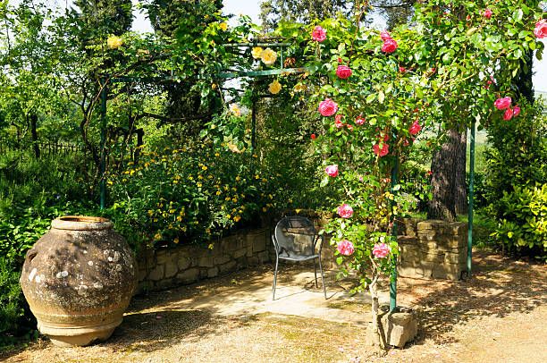 How to Create a Mediterranean Garden Mediterranean Garden Ideas