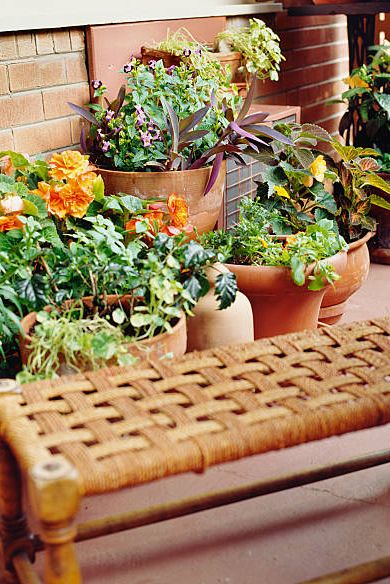 balcony with houseplants