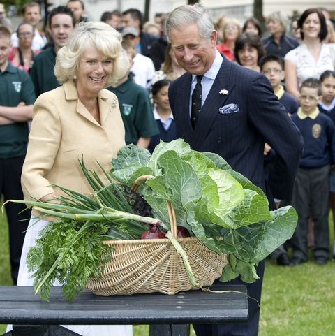Royal Visit To Dig For Victory Allotment - London